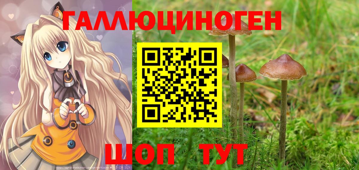 Гулькевичи  Галлюциногенные грибы мухоморы  Вход с VPN 